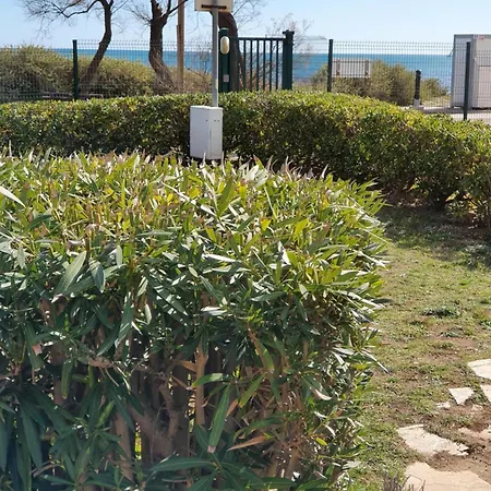 Apartment Cap D'agde Agde